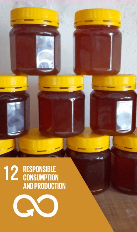 sustainable development goal 12 - responsible consumption and production