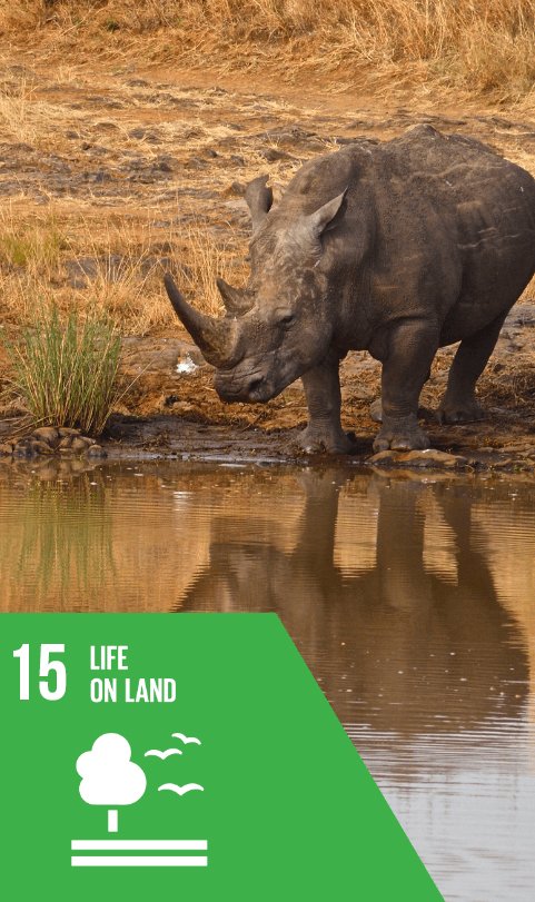 sustainable development goal 15 - life on land