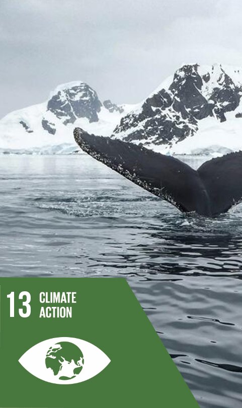 sustainable development goal 13 - climate action